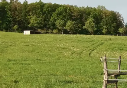 Jungrinder-Aufzucht, Kalbinen - von April bis Ende Oktober