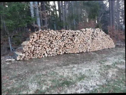 Buchenscheitholz und Birkenholz 1 m lang