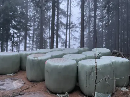 Siloballen zu verkaufen