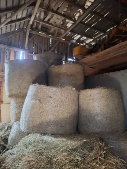 Heuballen für Pferde