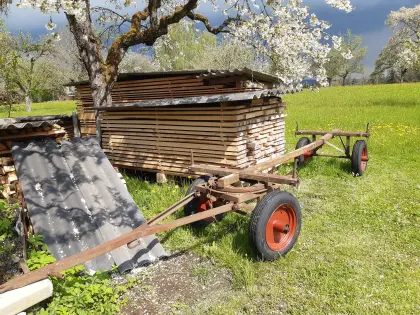 Schnittholz Esche, Fichte, Bretter, Pfosten, Latten