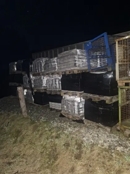 Hunde-Knochen-Pflaster ca. 210 m²