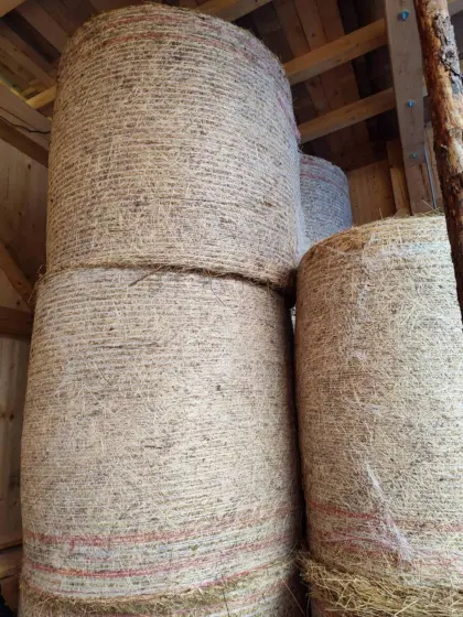 Heuballen, 1. Schnitt 2025