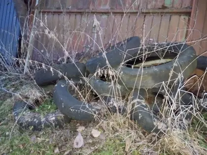 Reifen für Fahrsilo