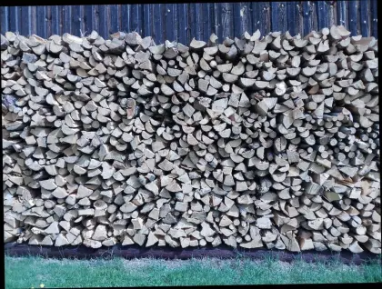 Brennholz frisch