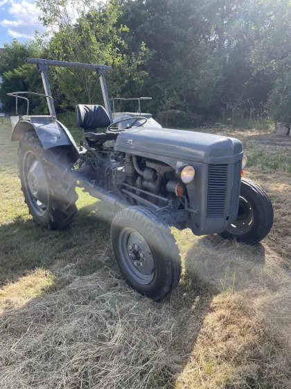 Ferguson Traktor "der kleine Graue"