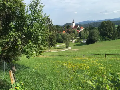 Weidefläche zu verpachten in Köflach/Piber