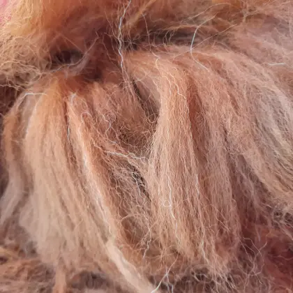 Alpakawolle, Rohwolle, Alpakavlies
