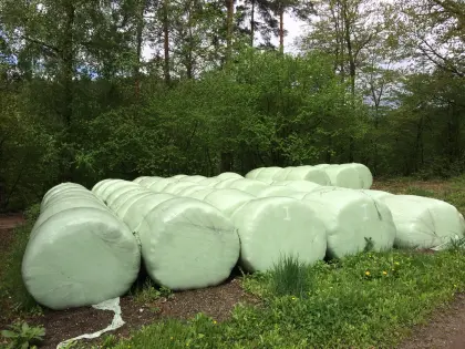 Bio Rundballen Silage