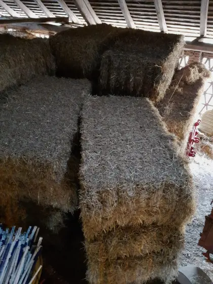 BIO Triticalestroh Quaderballen