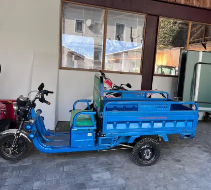 TUC TUC E-Lastendreirad Move Eco Cargo 500