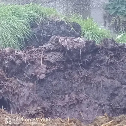 Mist gegen Strohballen