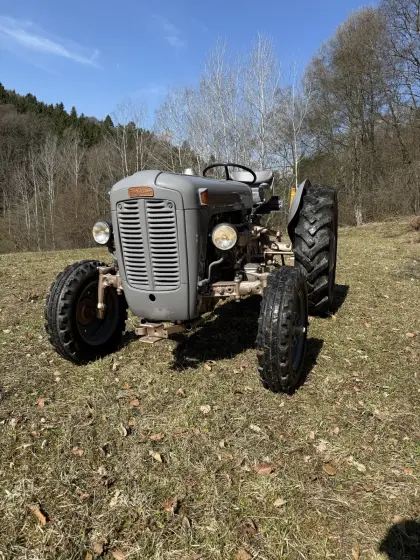 Ferguson Goldbauch FE35