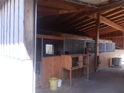 Einstellplatz Pony und Pferd