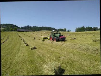 Heu in Kleinballen