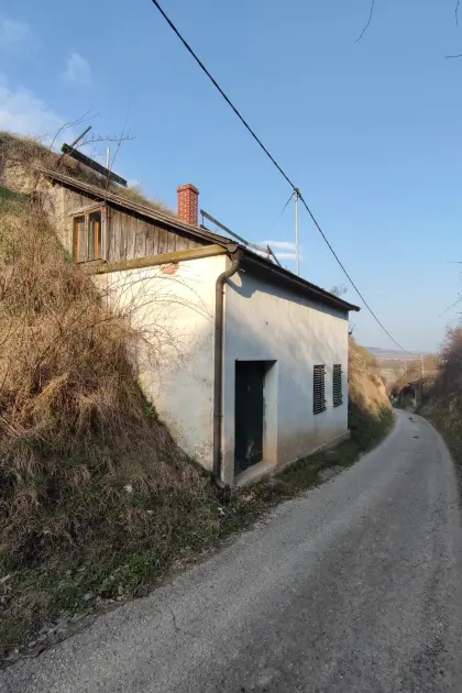 Weingarten am Sachsenberg – pachtfrei oder Verkauf