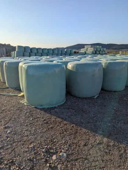 Bio Luzernesiloballen