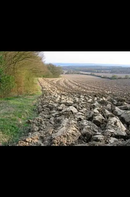 Suche Acker oder Wiese