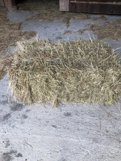 Heuballen zu verkaufen