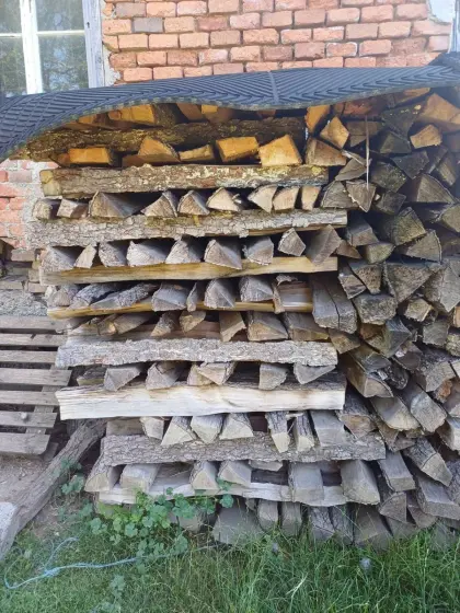 Brennholz Esche Erle