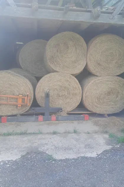 Bio-Heu mit Zertifikat, Rundballen, 1. Schnitt abzugeben.