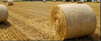 Stroh heu grummet