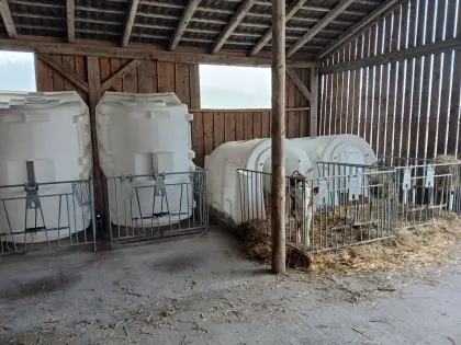 Kälberiglu mit leichter Umzäunung
mit leichter Umzäunung.