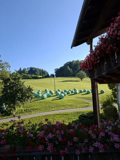 Silageballen 4&5. Schnitt 2025