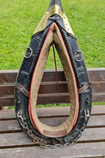 Haflinger Kummtgeschirr