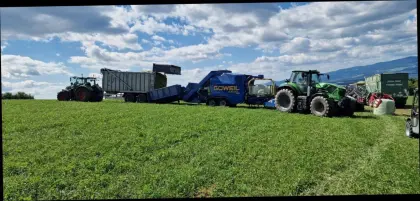 Maissilageballen