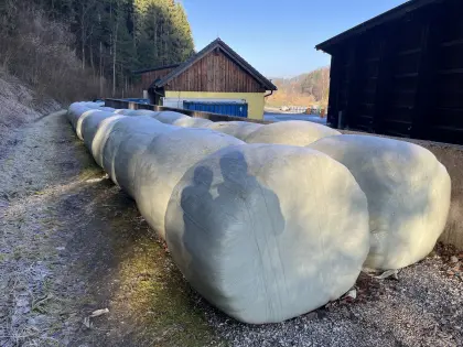 BIO Silageballen