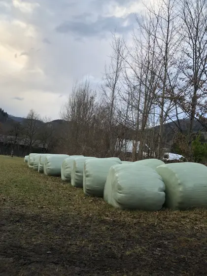 Silage- und Gärheuballen