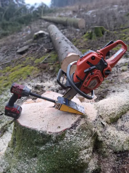 Aufforstung und Pflegearbeiten