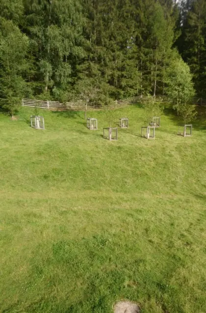 Weidefläche für Schafe zu vergeben