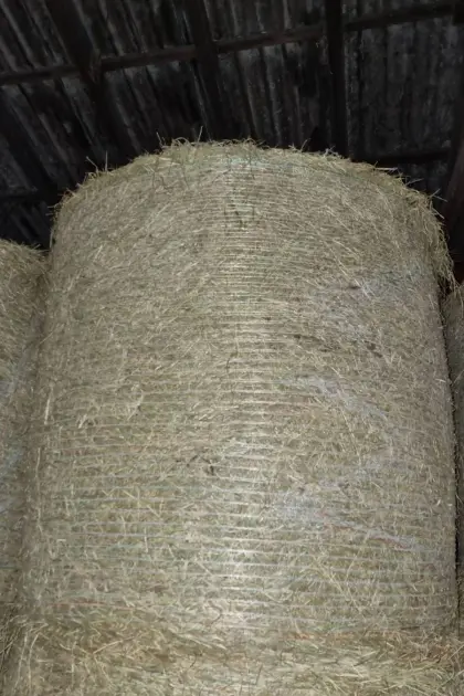 Heuballen 2. Schnitt