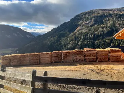 Lärchenstempel, Zaunstempel, Pfosten, Zaun, Stempel