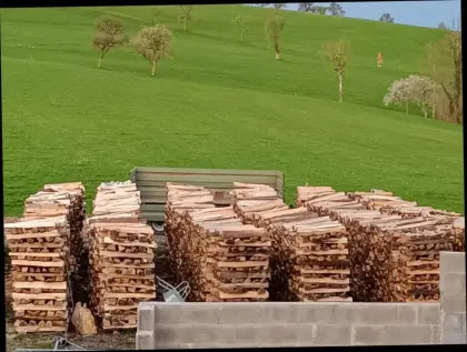 Brennholz