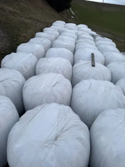 Silageballen