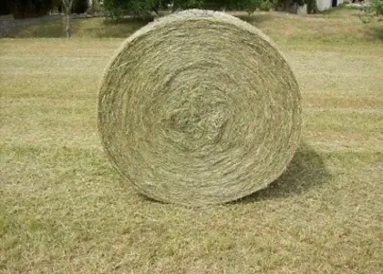 Heuballen