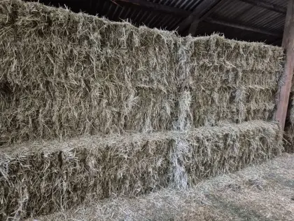 Verkaufe Quaderballen 1 und  2. Schnitt 2025