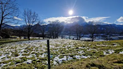 Weide und / oder Stallgebäude zu verpachten