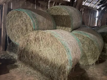 Heuballen zu verkaufen