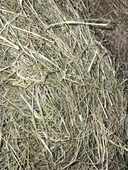 Bio Mist, Bio Gülle, Bio Heu