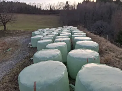 Silageballen