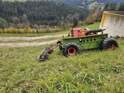 Rasant Wanze Kubota Diesel Motor