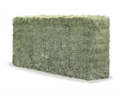 Heuballen Quaderballen 1. Schnitt 2025, ampferfrei, belüftet