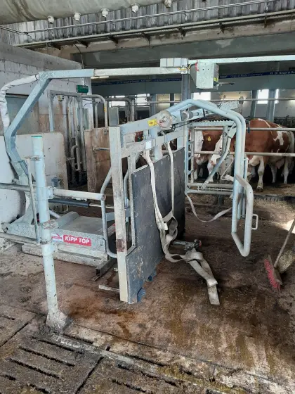 Klauenpflegestand Rosensteiner Kipp Top