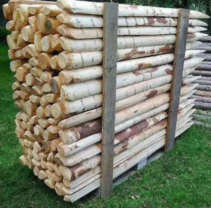 Stempel, Zaunpfähle, Lärchenstempel, Zaunsteher, Pfähle