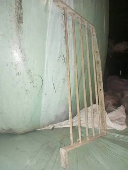 Aufstallung für Kälber