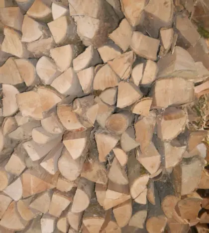 Reines Buchenholz, Kachelofen Hartholz, Scheiter